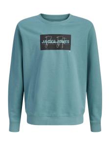 Jack & Jones Junior Толстовка 'JJCole' в изумрудном цвете