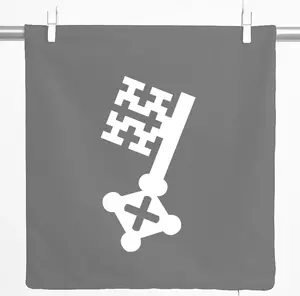 Декоративная наволочка с принтом Hellweg, подарочная подушка Soester Key, 40x40 см, стальной серый хлопок, украшение Soester Hellweg Druckerei