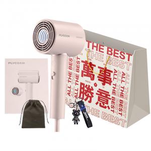 Фен с отрицательными ионами набор для быстрой сушки волос FH6311 FLYCO