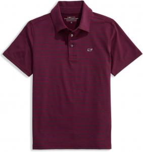 Поло Vineyard Vines Kids Bradley Stripe Sankaty Polo, цвет Crimson/Deep Bay