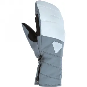 Рукавицы Viking Norvika Pro Ski, серый