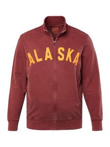 Спортивная куртка JP1880, цвет erde