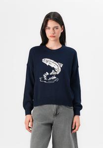 Джемпер Hollister Co. FISHERMAN GRAPHIC, Dark Blue