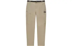 Повседневные брюки мужские цвета хаки The North Face, хаки