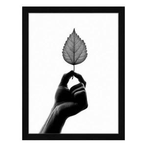 Картина Any Image Tiny Leaf, 32x42x2,6 см