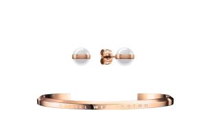 Аксессуары Daniel Wellington комплект браслет Alloy и серьги-гвоздики Unisex DW/DanielWellington