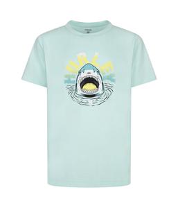 Футболка Hurley Kids Shark Peep Graphic UPF T-Shirt, цвет Mint Candy Heather