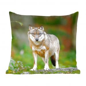 Декоративная подушка MuchoWow Диванная подушка Декоративная подушка для гостиной 60 x 60 см Волк - Азия - Растения - Наволочка - Хлопчатобумажная ткань - Декоративные наволочки