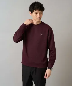 Пуловер Aze с двусторонней вышивкой в одной точке Avv, цвет Bordeaux