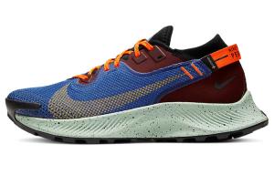 Женские беговые кроссовки Nike Pegasus Trail 2