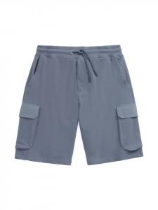Спортивные штаны AUTHENTIC LE JOGGER, синий