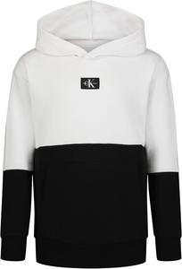 Толстовка с длинным рукавом Calvin Klein для мальчиков, флисовая толстовка с капюшоном, Colorblock White/Black