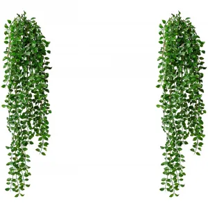 Креатив зеленый искусственный усик «Колумнея висячая» Creativ Green