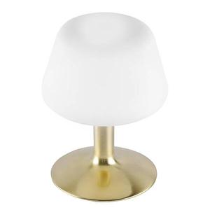 Светодиодная настольная лампа Paul Neuhaus Till цвет messing