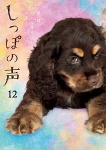 Voice of the Tail (12) (Big Comics)