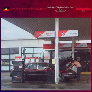 Виниловая пластинка LP Make Me A Pallet Fire On Your Floor / Local Clerics [Blue Vinyl] (7") - Self Defense Family