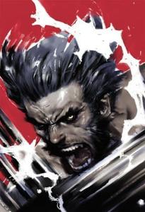 Wolverine: Soultaker (X-Men) (Marvel Comics)