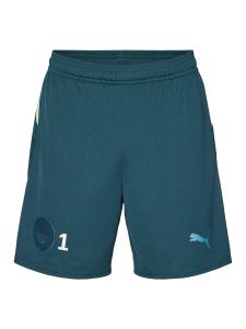 Обычные спортивные штаны PUMA Manchester City 25/26, темно-зеленый