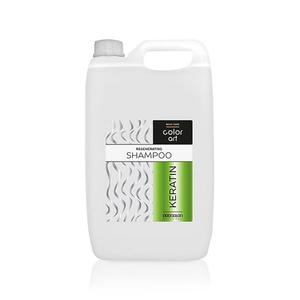 Шампунь 5 л Chantal Prosalon Color Art Keratin —