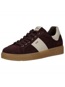 Кроссовки Nero Giardini, Dark brown