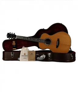 Cort Gold Passion L.R. Baggs Anthem