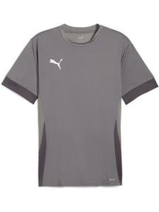 Спортивная футболка TeamGoal Matchday Jersey серого цвета Puma