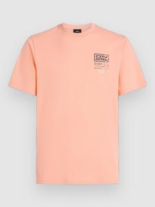 Футболка O'Neill Retro Graphic T-Shirt, coral pop