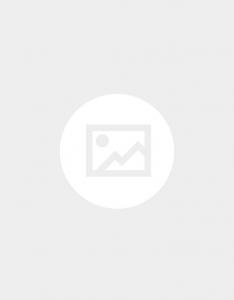 Солнцезащитные очки Ray-Ban Wayfarer 0RB4165