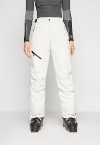 Лыжные брюки Icepeak CURLEW, Powder/Beige