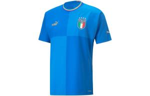 Мужское футбольное джерси Puma, цвет Blue