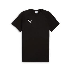 Мужская футболка Puma teamEVOSTRIPE Tee 659953