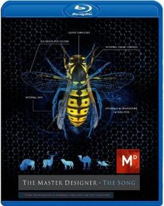 Диск Blu-ray The Master Designer-The Song
