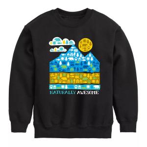 Толстовка для кемпинга Naturally Awesome для мальчиков 8–20 лет Licensed Character, черный