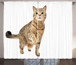 Штора ABAKUHAUS Rustic Kitten, шотландская прямоухая, с поднятыми лапами, универсальная, с петлями и крючками, для гостиной, 280 x 225 см, коричнево-белая Abakuhaus