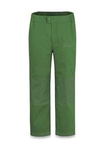 Детские зимние брюки Дельтана normani, зеленый
