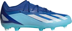 Кроссовки X Crazyfast.1 FG J 'Marinerush Pack', синий