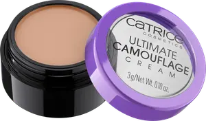 Консилер Ultimate Cream 025 C Миндаль 3 г Catrice