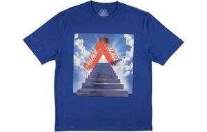 Футболка Tri Ternity PALACE, синяя