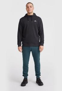 Толстовка с капюшоном SMALL LOGO O'Neill, пестрый черный