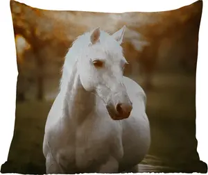 Подушка для улицы - Лошадь - Солнце - Осень - Животные - Природа - 40x40 см - Устойчива к погодным условиям - Подушка для отдыха - Подушка для интерьера - Обивка с изображением MuchoWow