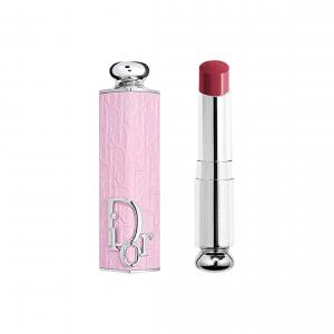 Помада enchanting + бальзам fashion shell увлажняющая легко растушевывается прозрачная питательная 3,2 г DIOR