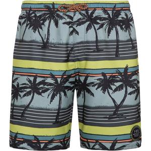 Пляжные шорты Badeshorts Prtmaurits Jr. Protest, цвет huntergreen
