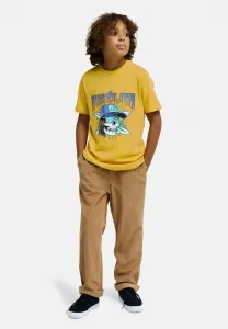 Брюки Quiksilver, Cmk