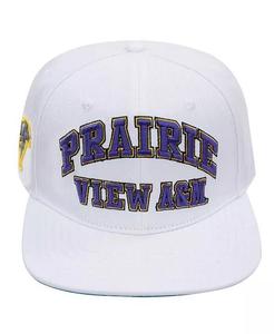 Мужская белая шерстяная шляпа Prairie View A&M Panthers Evergreen Snapback Pro Standard, белый