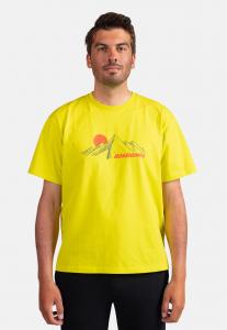 Футболка с принтом WATERFALL Rossignol, зеленый