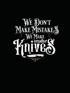 We Don't Make Mistakes (Independently published)