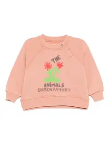 Толстовка Jackal The Animals Observatory, розовый
