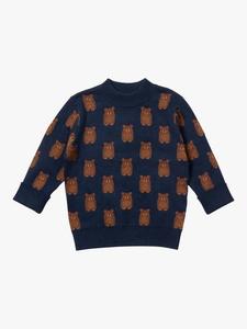 Детский хлопковый джемпер Teddy Little Green Radicals, Navy