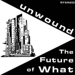 Аудиокассета Unwound: The Future Of What