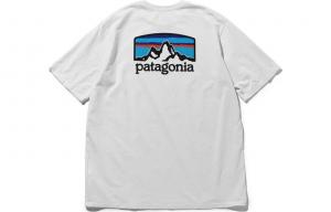 Футболка Fitz Roy Horizons для мужчин Patagonia, цвет Bay Blue/Bayou Blue